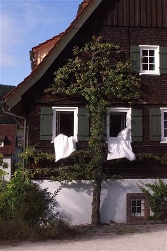 Gutshof-Hotel Waldknechtshof Baiersbronn Ngoại thất bức ảnh
